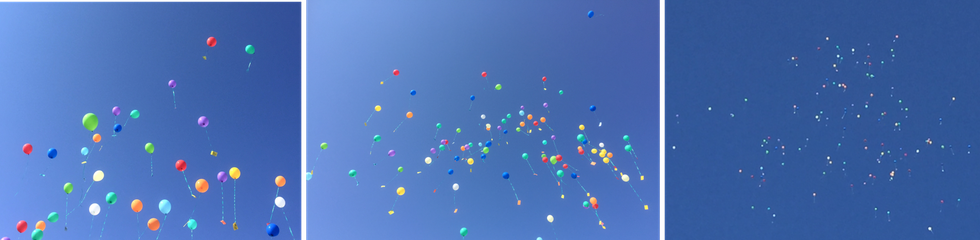 Forschen am Kindergeburtstag: wir lassen Dich hoch leben und stellen Deine individuelle Forscherreise zusammen. Luftballons fliegen für Dich in die Höhe.